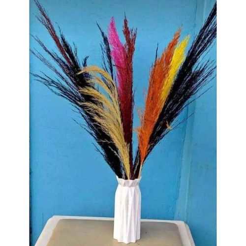 Mixed Colors Long Dried Pampas /Grass And Vase