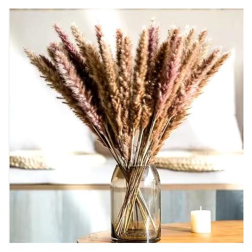Brown 5pcs Dried Mini Pampas Grass