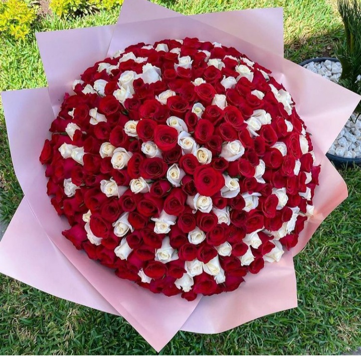 Red and White Roses