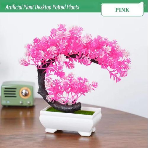 Bonsai Tree