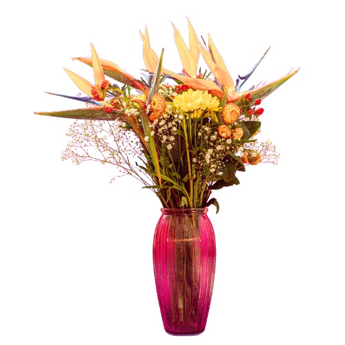 Tropical Paradise Bouquet + Vase